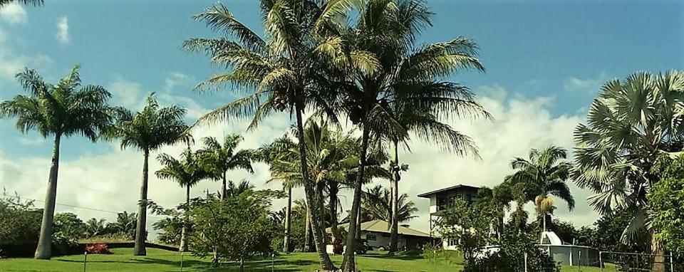 Hilo Bay Room interior