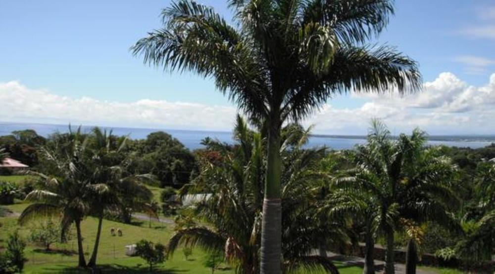 Island Goode's - Luxury Adult Only Accommodation near Hilo